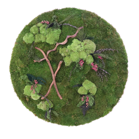 OC Green Park v Benešově má „zelené stěny“